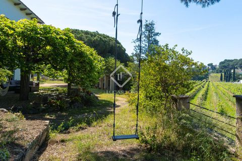 Landejendom i Alella, Barcelona, Alella - € 3.700.000 | Ref: MRS59218 - foto 16