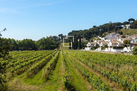 Landejendom i Alella, Barcelona, Alella - € 3.700.000 | Ref: MRS59218 - foto 18