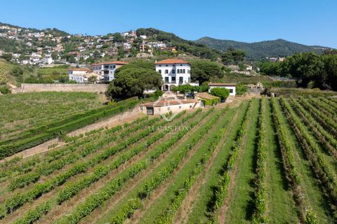 Landejendom i Alella, Barcelona, Alella - € 3.700.000 | Ref: MRS59218 - foto 36