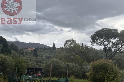 Landejendom i Pescia, Pistoia, Pescia - € 1.340.000 | Ref: 1282 - foto 10
