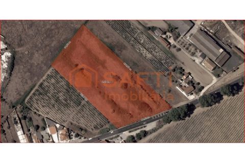 Terra a Alpiarca, Santarem, Alpiarca - € 118.500 | Ref: SAFTI:006866 - foto 2