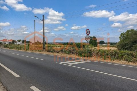 Terra a Alpiarca, Santarem, Alpiarca - € 118.500 | Ref: SAFTI:006866 - foto 4
