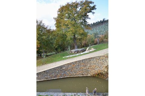Landejendom i Arouca, Aveiro, Arouca - € 1.100.000 | Ref: SAVPRT15641 - foto 16