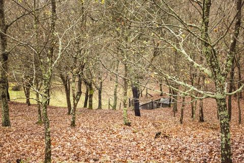 Landejendom i Arouca, Aveiro, Arouca - € 1.100.000 | Ref: SAVPRT15641 - foto 23