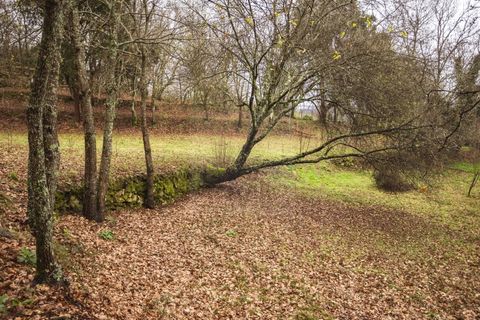 Landejendom i Arouca, Aveiro, Arouca - € 1.100.000 | Ref: SAVPRT15641 - foto 24