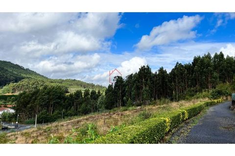 Helårsgrund i Guimaraes, Braga, Guimaraes - € 150.000 | Ref: L-TR-69-25 - foto 5