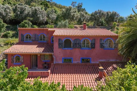 Farm hus i Monchique, Faro, Monchique - € 750.000 | Ref: KWPT-016903 - foto 8