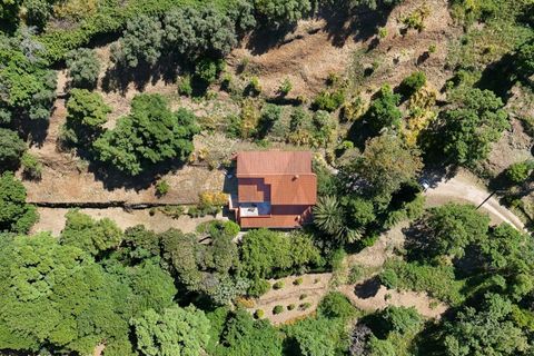 Farm hus i Monchique, Faro, Monchique - € 750.000 | Ref: KWPT-016903 - foto 9