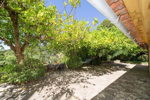 Farm hus i Monchique, Faro, Monchique - € 750.000 | Ref: KWPT-016903 - foto 14
