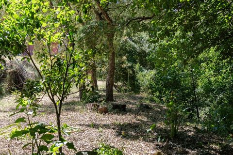 Farm hus i Monchique, Faro, Monchique - € 750.000 | Ref: KWPT-016903 - foto 16