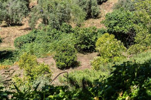 Farm hus i Monchique, Faro, Monchique - € 750.000 | Ref: KWPT-016903 - foto 17