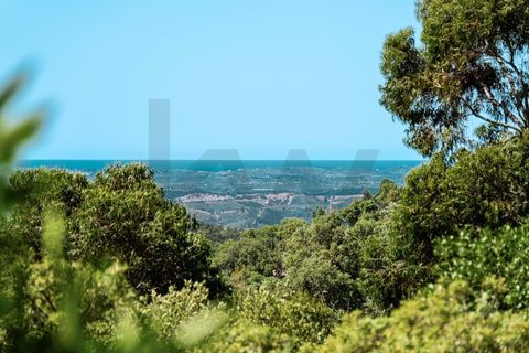 Farm hus i Monchique, Faro, Monchique - € 750.000 | Ref: KWPT-016903 - foto 18