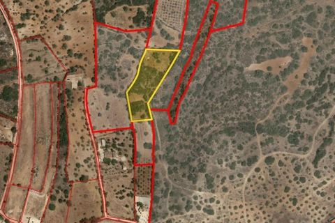 Helårsgrund i Alcantarilha, Faro, Alcantarilha - € 30.000 | Ref: KWPT-016906 - foto 3