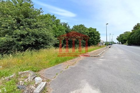 Terra a Gilmonde, Braga, Gilmonde - € 650.000 | Ref: 272T001054 - foto 13