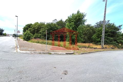 Terra a Gilmonde, Braga, Gilmonde - € 650.000 | Ref: 272T001054 - foto 6