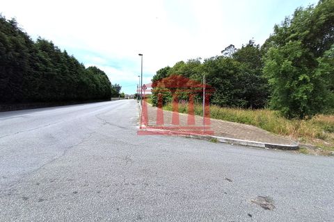 Terra a Gilmonde, Braga, Gilmonde - € 650.000 | Ref: 272T001054 - foto 15