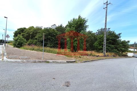 Terra a Gilmonde, Braga, Gilmonde - € 650.000 | Ref: 272T001054 - foto 16