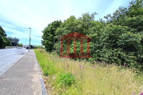 Terra a Gilmonde, Braga, Gilmonde - € 650.000 | Ref: 272T001054 - foto 8