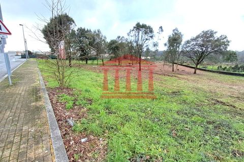 Terra a Gilmonde, Braga, Gilmonde - € 650.000 | Ref: 272T001054 - foto 3