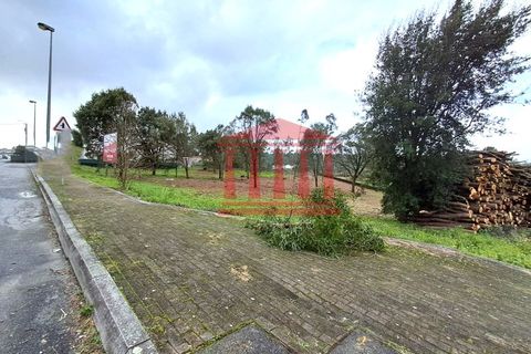 Terra a Gilmonde, Braga, Gilmonde - € 650.000 | Ref: 272T001054 - foto 5