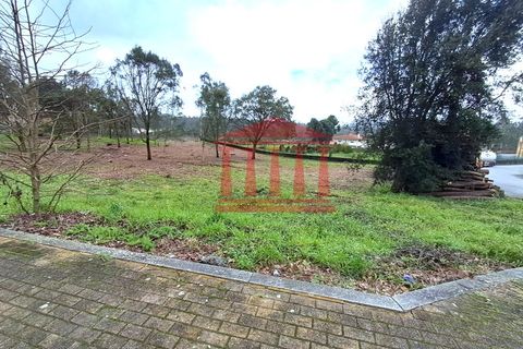 Terra a Gilmonde, Braga, Gilmonde - € 650.000 | Ref: 272T001054 - foto 7