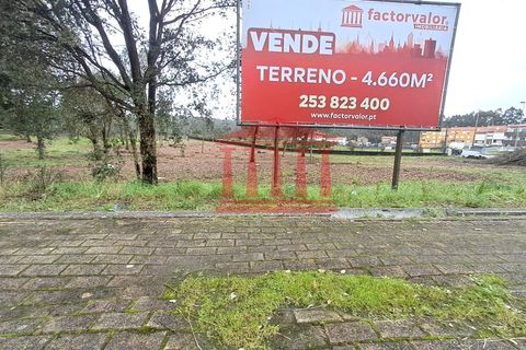 Terra a Gilmonde, Braga, Gilmonde - € 650.000 | Ref: 272T001054 - foto 9