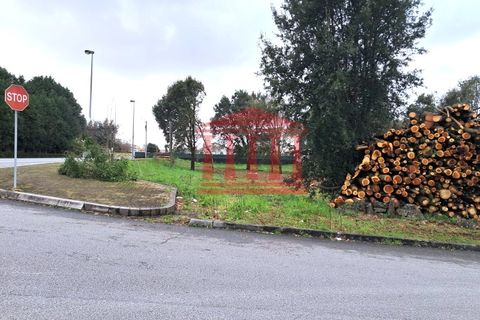 Terra a Gilmonde, Braga, Gilmonde - € 650.000 | Ref: 272T001054 - foto 10