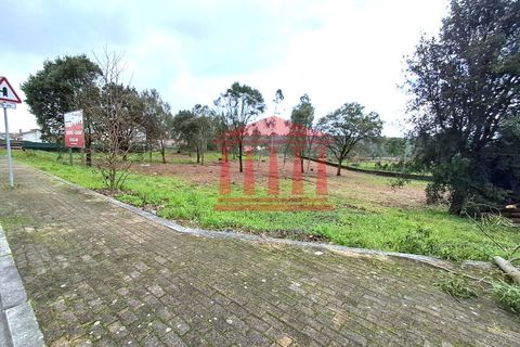 Terra a Gilmonde, Braga, Gilmonde - € 650.000 | Ref: 272T001054 - foto 11