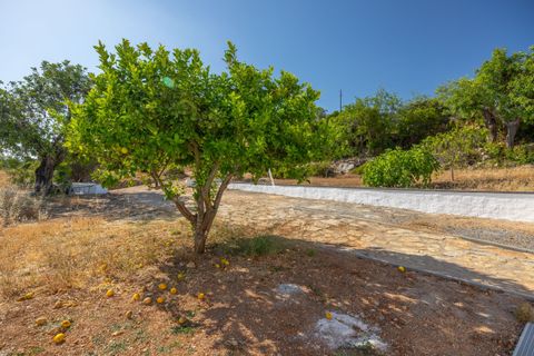 Villa i Tavira, Faro, Tavira - € 750.000 | Ref: ACPS10801 - foto 24