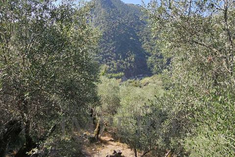 Villa i Airole, Imperia, Airole - € 65.000 | Ref: 23345 - foto 9