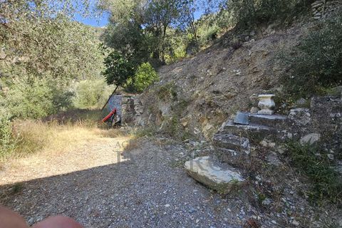 Villa i Airole, Imperia, Airole - € 65.000 | Ref: 23345 - foto 15