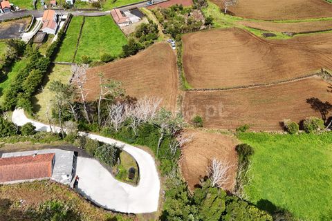 Helårsgrund i Sao Roque do Pico, Pico, Sao Roque do Pico - € 59.000 | Ref: 374250095 - foto 4