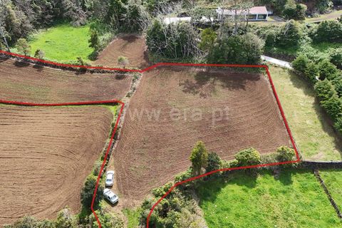 Helårsgrund i Sao Roque do Pico, Pico, Sao Roque do Pico - € 59.000 | Ref: 374250095 - foto 5