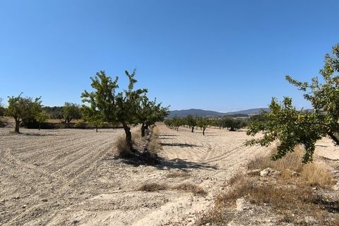 Helårsgrund i Monovar, Alicante, Monovar - € 16.500 | Ref: 61108 - foto 2