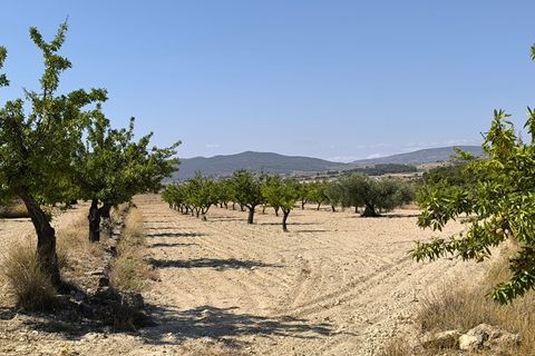 Helårsgrund i Monovar, Alicante, Monovar - € 16.500 | Ref: 61108 - foto 3