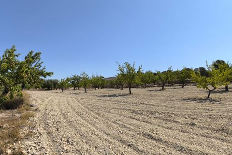 Helårsgrund i Monovar, Alicante, Monovar - € 16.500 | Ref: 61108 - foto 5