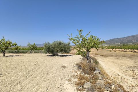 Helårsgrund i Monovar, Alicante, Monovar - € 16.500 | Ref: 61108 - foto 8