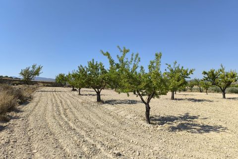 Helårsgrund i Monovar, Alicante, Monovar - € 16.500 | Ref: 61108 - foto 9