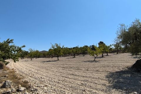 Helårsgrund i Monovar, Alicante, Monovar - € 16.500 | Ref: 61108 - foto 10