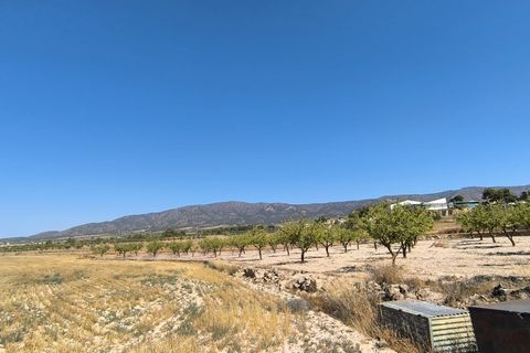 Helårsgrund i Monovar, Alicante, Monovar - € 12.500 | Ref: 61107 - foto 2