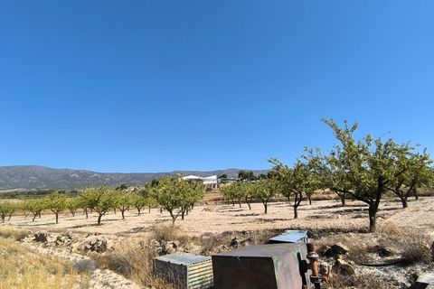 Helårsgrund i Monovar, Alicante, Monovar - € 12.500 | Ref: 61107 - foto 3