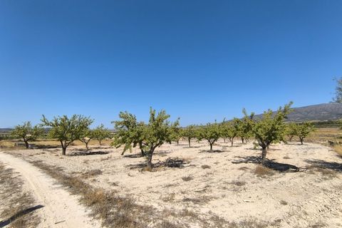 Helårsgrund i Monovar, Alicante, Monovar - € 12.500 | Ref: 61107 - foto 5