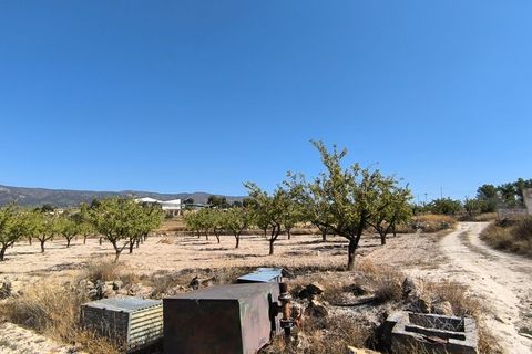 Helårsgrund i Monovar, Alicante, Monovar - € 12.500 | Ref: 61107 - foto 7