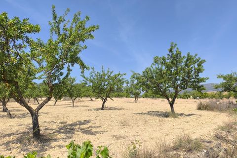 Helårsgrund i Monovar, Alicante, Monovar - € 37.500 | Ref: 61105 - foto 3