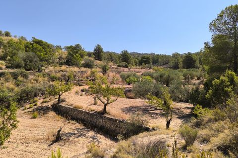 Helårsgrund i Monovar, Alicante, Monovar - € 11.500 | Ref: 61104 - foto 2