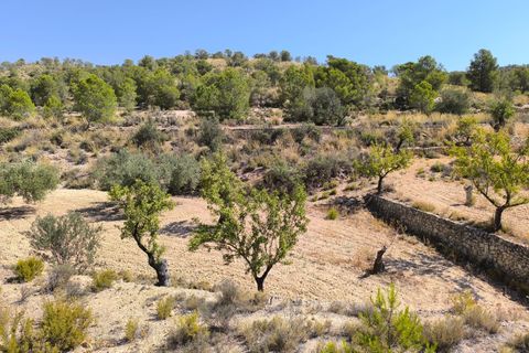 Helårsgrund i Monovar, Alicante, Monovar - € 11.500 | Ref: 61104 - foto 3