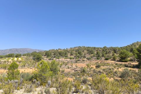 Helårsgrund i Monovar, Alicante, Monovar - € 9.995 | Ref: 61103 - foto 3