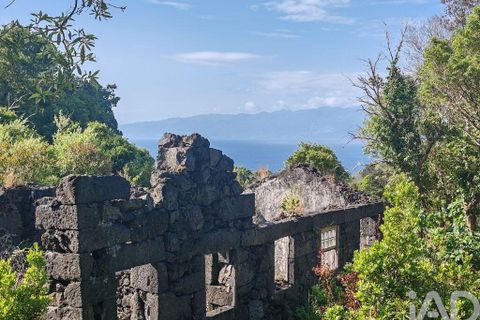 Byhus i Lajes do Pico, Pico, Lajes do Pico - € 77.000 | Ref: 143576 - foto 4