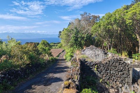 Byhus i Lajes do Pico, Pico, Lajes do Pico - € 77.000 | Ref: 143576 - foto 2