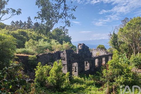 Byhus i Lajes do Pico, Pico, Lajes do Pico - € 77.000 | Ref: 143576 - foto 7